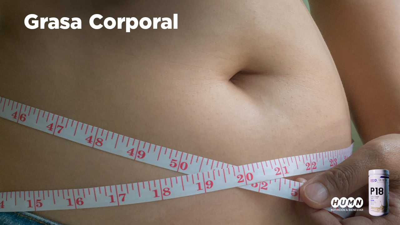 Lee más sobre el artículo Realizamos el Webinar «Grasa Corporal»