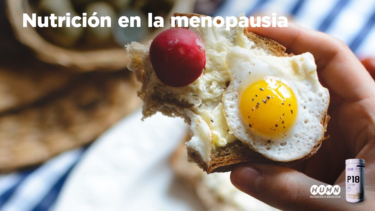 Lee más sobre el artículo Realizamos el Webinar «Nutrición en la menopausia»