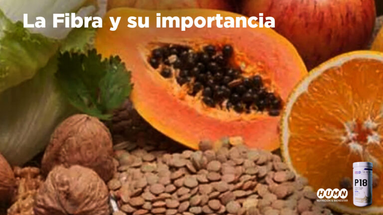 Lee más sobre el artículo Realizamos el Webinar «La Fibra y su importancia»