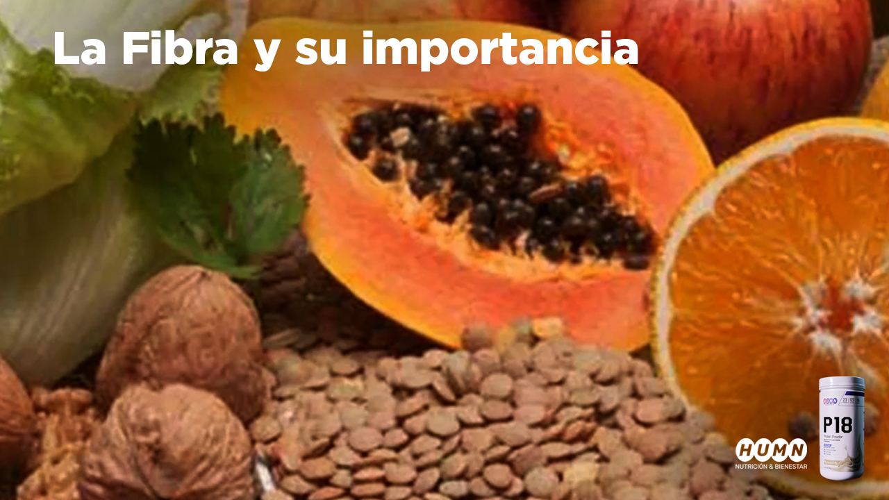 Lee más sobre el artículo Realizamos el Webinar «La Fibra y su importancia»